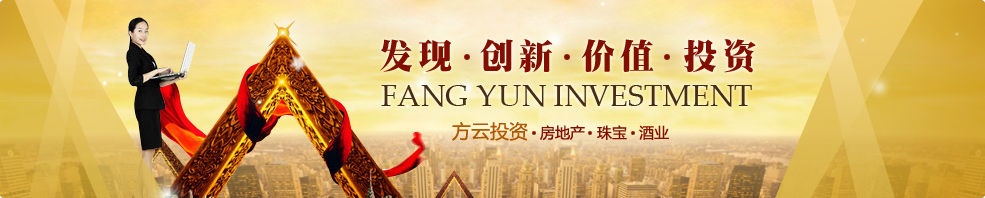方云投資